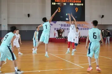 哪里可以找到篮球训练的模范案例_1